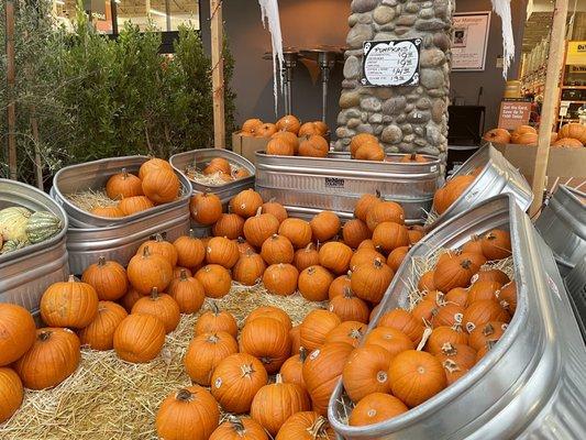 It's like a mini pumpkin patch out front!