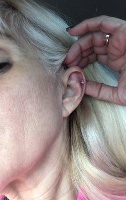 9/2020Pink Piercing On L Ear By Taylor. Prices Are A Little Steep.You May Want To Wait 'Till Nov Sales Start