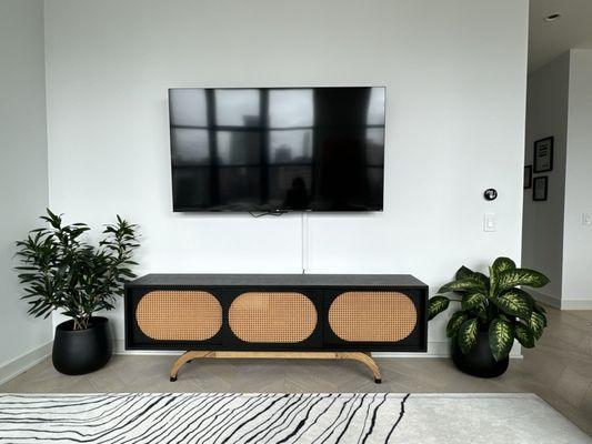 TV console