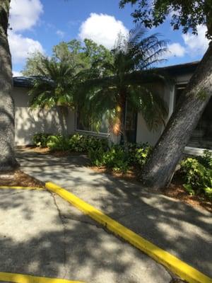 The front door of All Cats Hospital