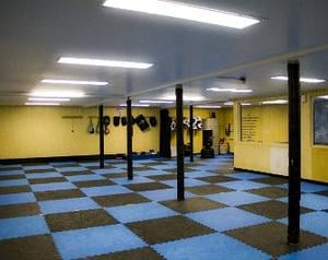 Lower Level Dojo