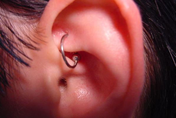 Rook Piercing by DaVo