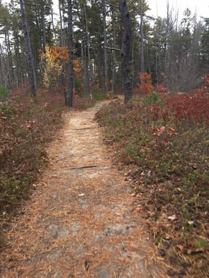 One of the many old trails. You can almost hear the old wagons creaking along.