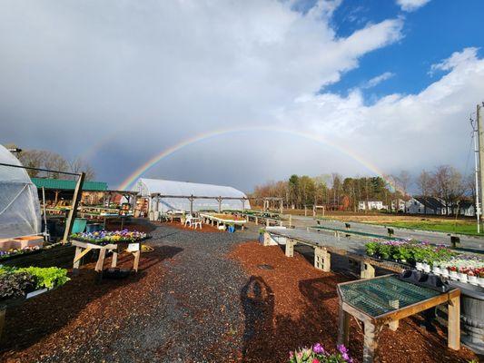 Spring Ledge Farm Stand