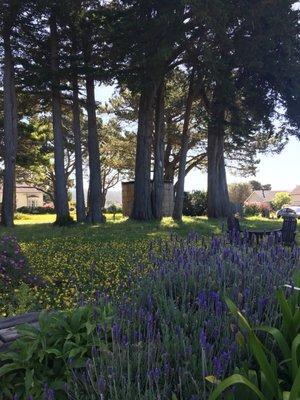 Front yard of Mendocino Art Center