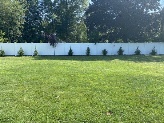 New White PVC fence installed by Oma Fence Corporation. Job very well done!!!