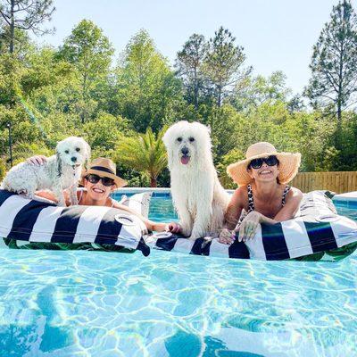 Laze Pillow being enjoyed by dogs and owners