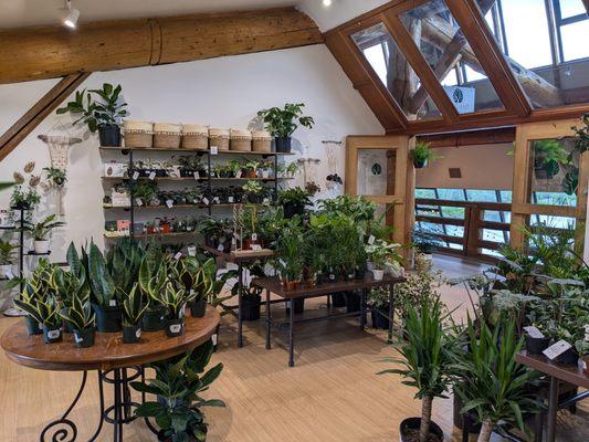 View from inside Verdant Plant Shop, upstairs in the Cedar Street Bridge in downtown Sandpoint, Idaho