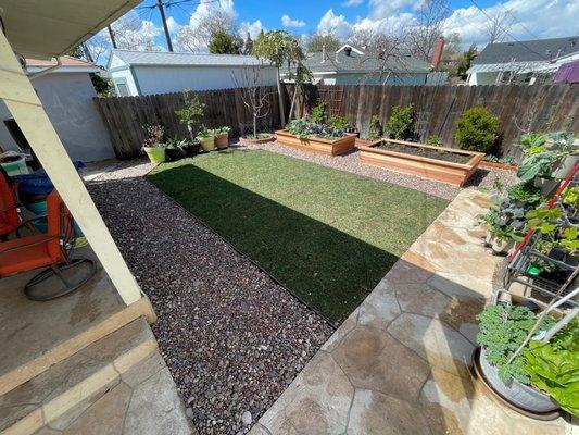 New sod, sprinklers, rocks