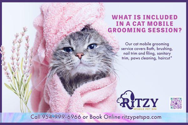 Our cat mobile grooming service covers Bath, brushing, nail trim and filing, sanitary trim, paws cleaning, and haircut