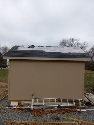 Shed roofing