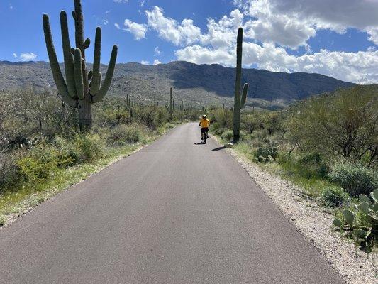 Ride Tucson