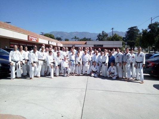 The karate family