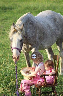 One of our sweet and gentle unicorns.  She ADORES kids.