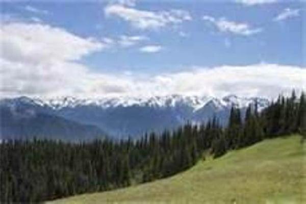 Hurricane Ridge