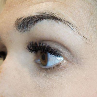 Hybrid Lashes