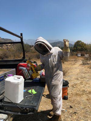 Unloading bees at the bee yard!