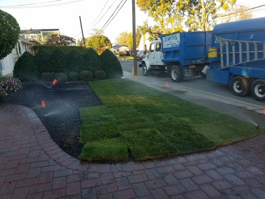 Sod work in Bethpage