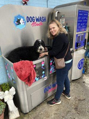 A happy clean dog!