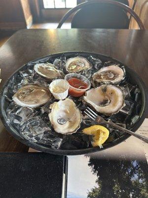 Oysters in a 1/2 shell