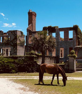 Dungeness Ruins on Cumberland island