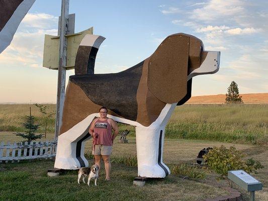 Little Toby along with my Beag and I