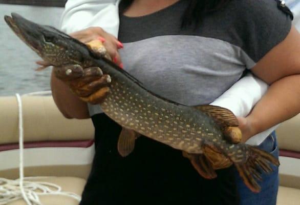 Catch of the day, Northern Pike!