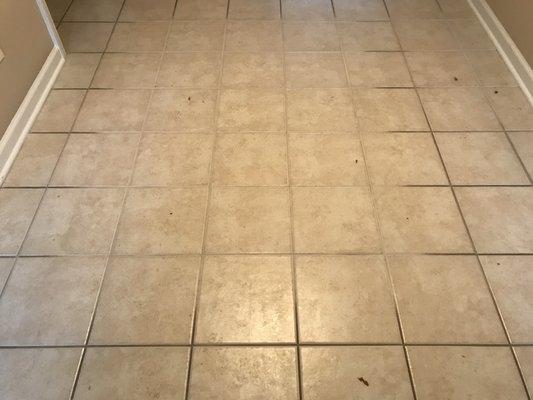 BEFORE - Very soiled tile and grout