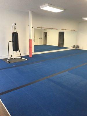 Our dojo with another new addition, two naginatas  above the mirrors.