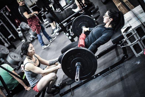 From general personal trainers to elite level powerlifting coaches. We've got you covered.