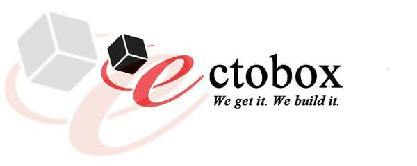 Ectobox Custom Software Logo