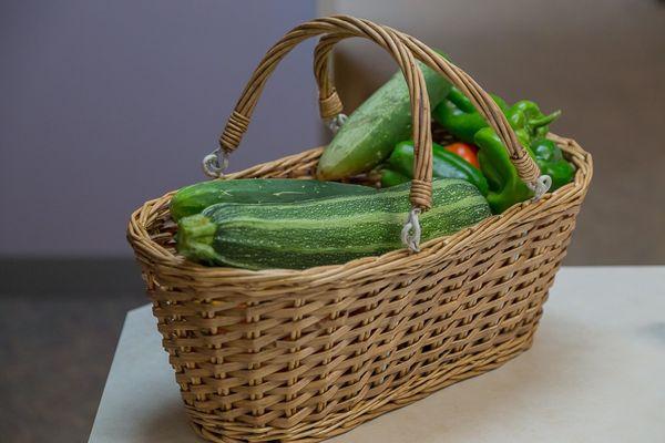 We have a garden for our patients in our backyard - patients love getting fresh veggies after their appointment!