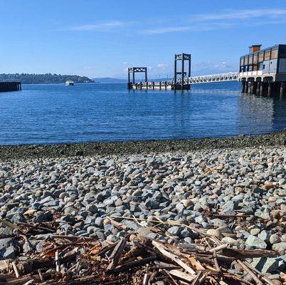 Pioneer Square Habitat Beach