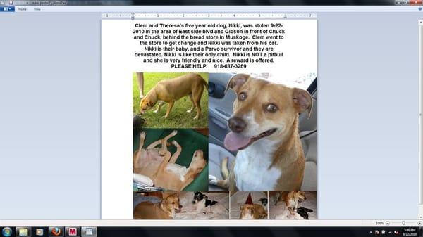 Nikki was stolen in Muskogee...Help us...reward offered