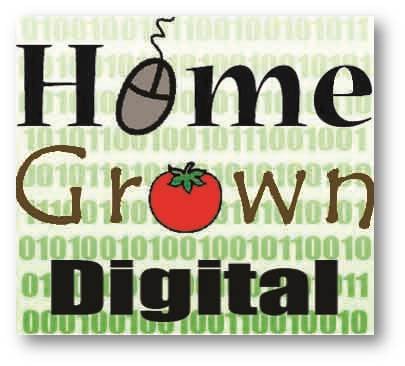 Home Grown Digital Internship Project in Collaboration with Newton College and Career Academy