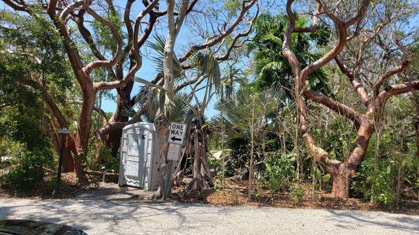 Green Turtle Hammock Nature Preserve