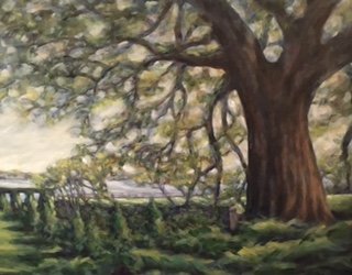 By Trish Rugaber, "Cummer Oak"