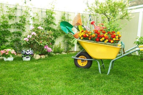 Lawn Care Service in Fairfield CA