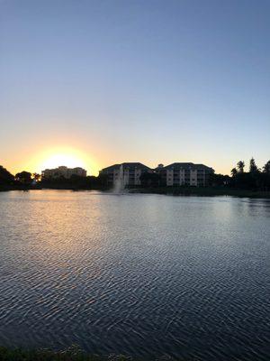 Condos around the lake