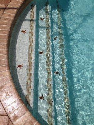 Coastal Pool and Pavers