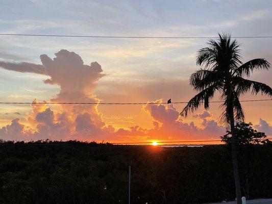 Big Pine Key Boat Rentals