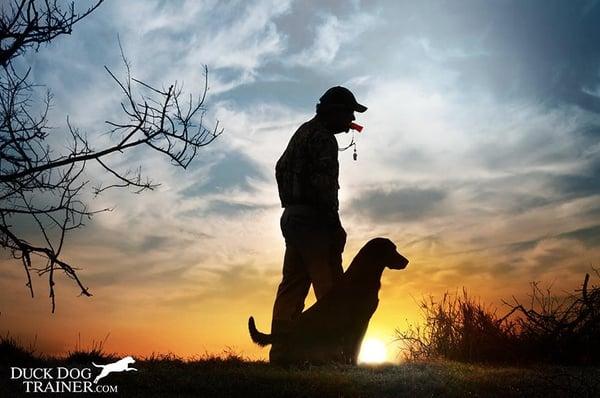 Duck Dog Trainer