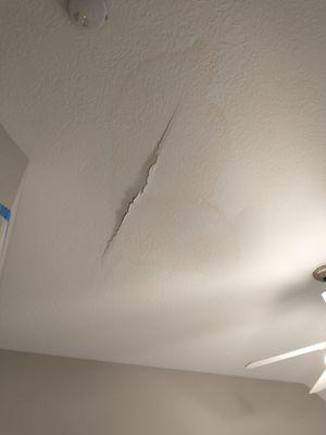 Ceiling Repair