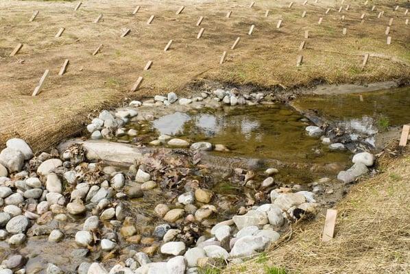 Wetland Creation and Stream Restoration