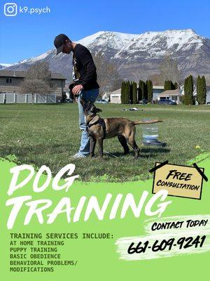 Personal in home dog training with the most modern training techniques.