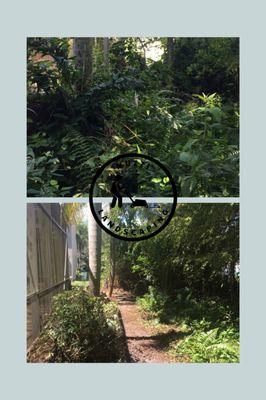 Nuzzi Landscaping before and after yard cleanup and tree trimming we also service in weekly and bi-weekly lawn service