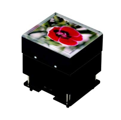 Frameless OLED Pushbutton Switch