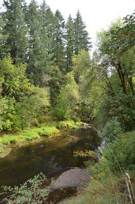 The east fork of the Nehalem River.