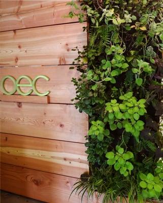 Indoor Living Walls & Vertical Gardens