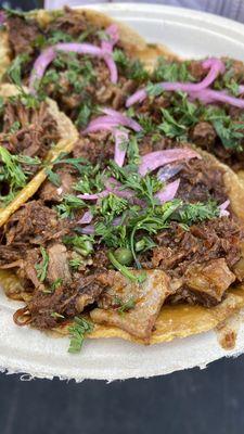 Birria quesa taco (no cheese on my order)